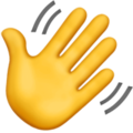 waving hand.png